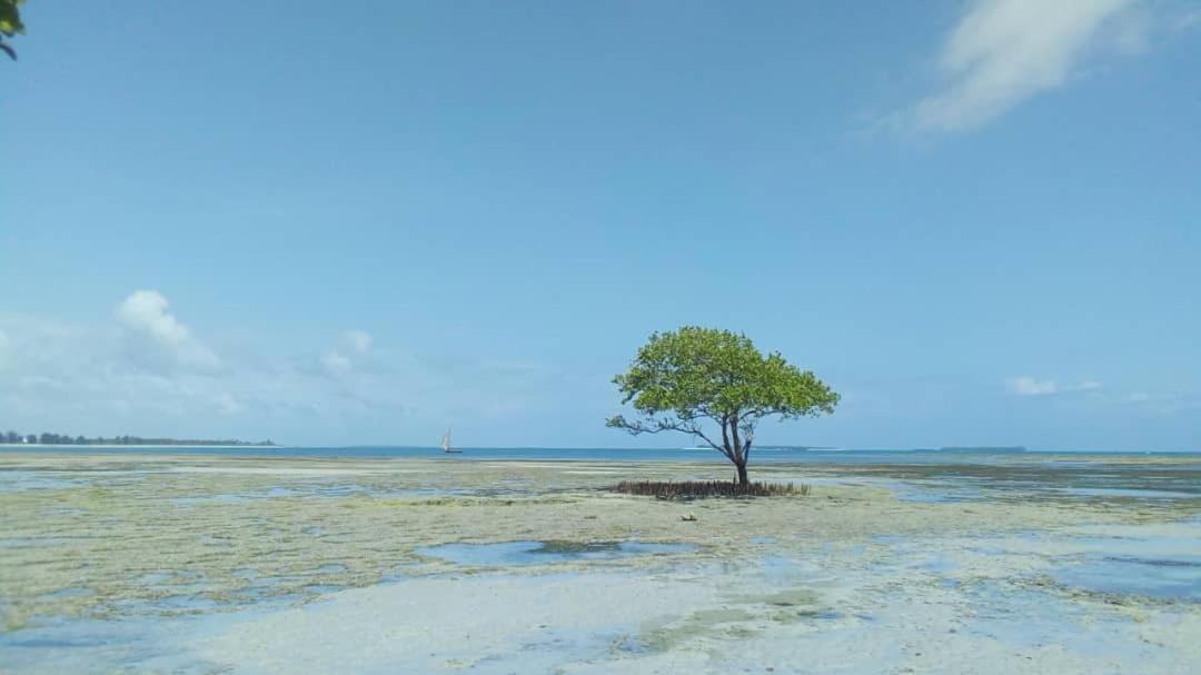L&J Modern Backpackers Kigamboni Beach House Bed and Breakfast Dar es Salaam Exterior foto